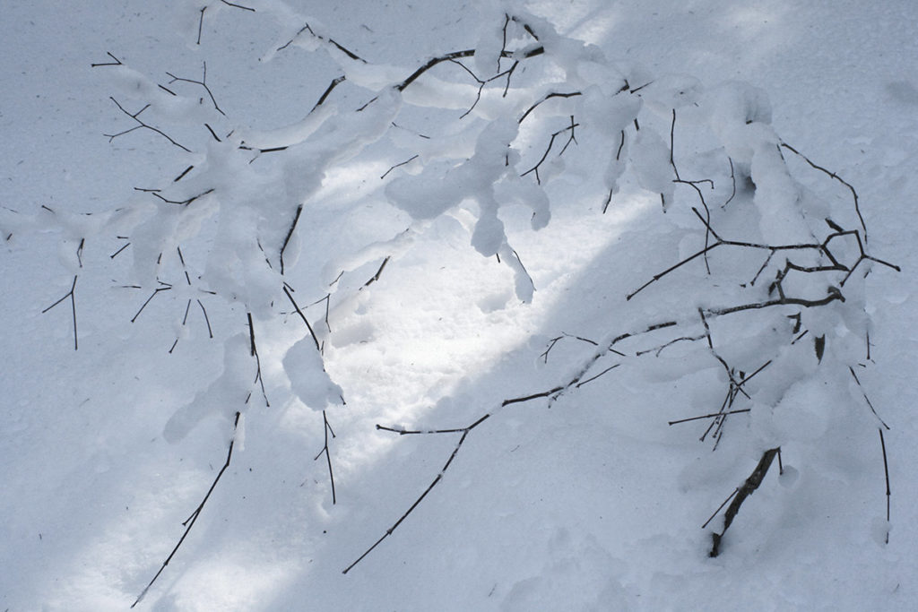 Snowshoeing at Hyak Sense Memory