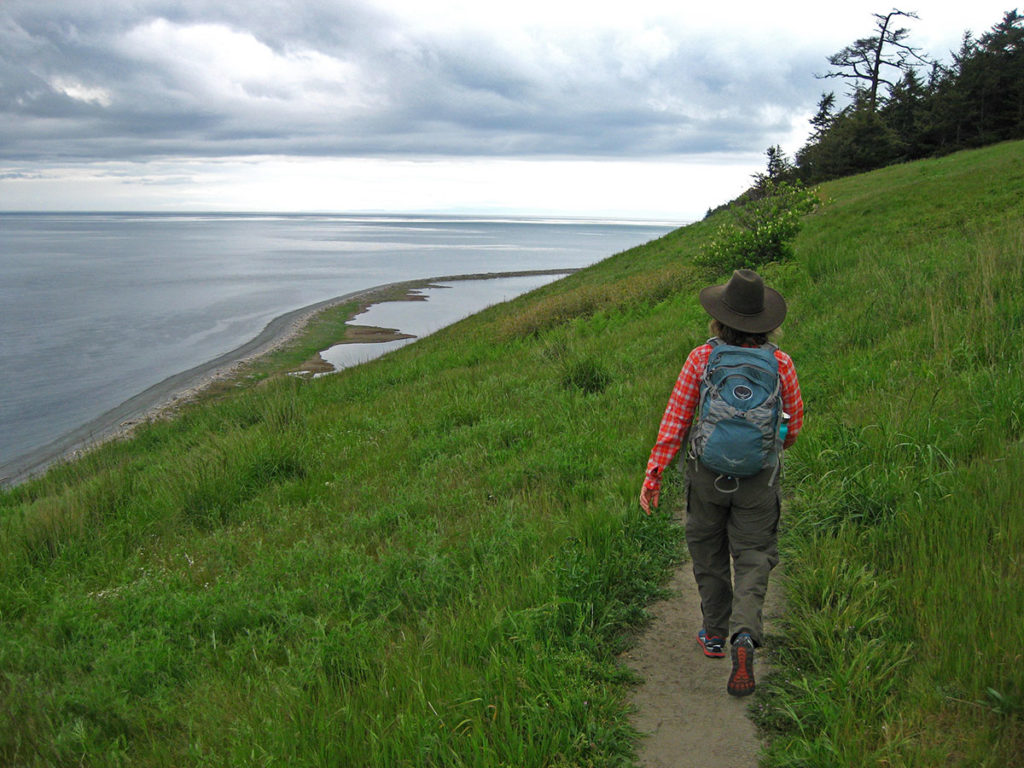 woman in orange shirt walks through the grassy slope of a trail, approaching a copse of contorted evergreens, with the ocean far below