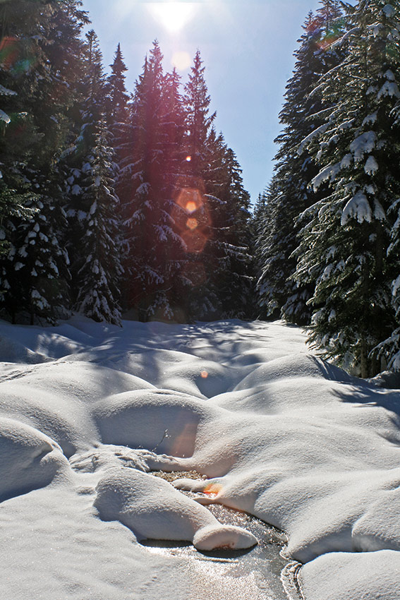 Snowshoeing at Hyak Sense Memory