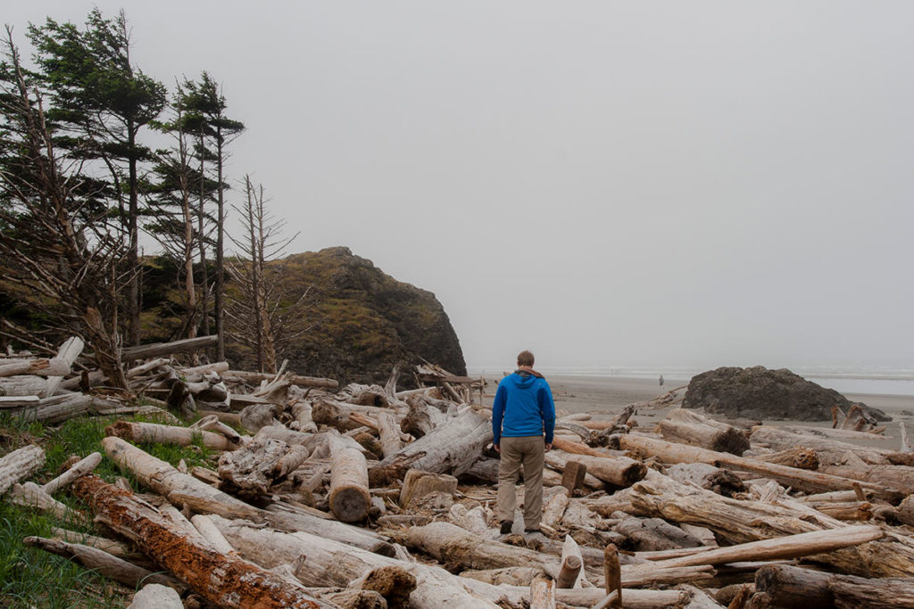 man in a blue jacket stands in the middle of a pile of beach wood, sun-bleached and weathered and splintering, beside a copse of tree skeletons and a few survivors, their branches so lopsided from the constant wind that they look to be disintegrating, carried away, against a rocky outcropping with sickly looking grass clinging to the veneer of soil