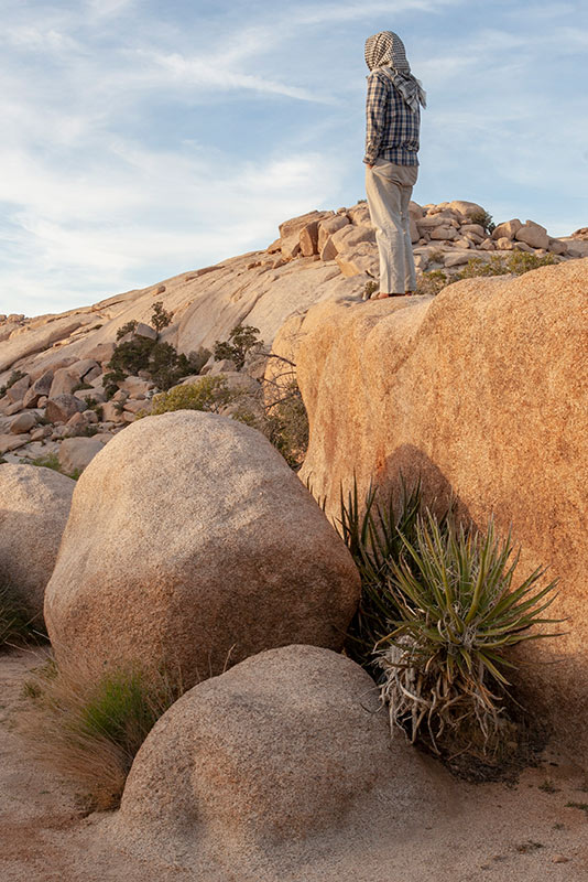 man in long sleeved shirt and headscarf looking out at the vista from atop a golden-hued boulder, beside smaller boulders and a spiny agave (?) plant