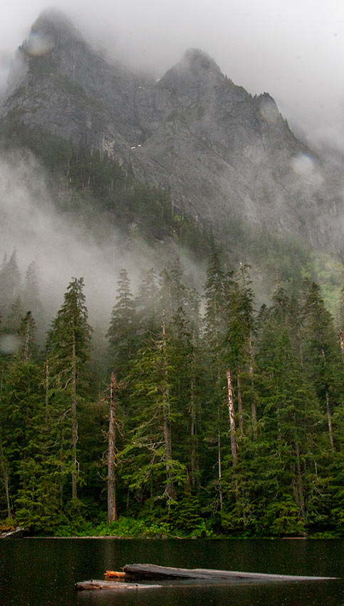 clouds close in around Barclay Mountain, bare rock over a tall conifer forest behind a dark lake with floating logs