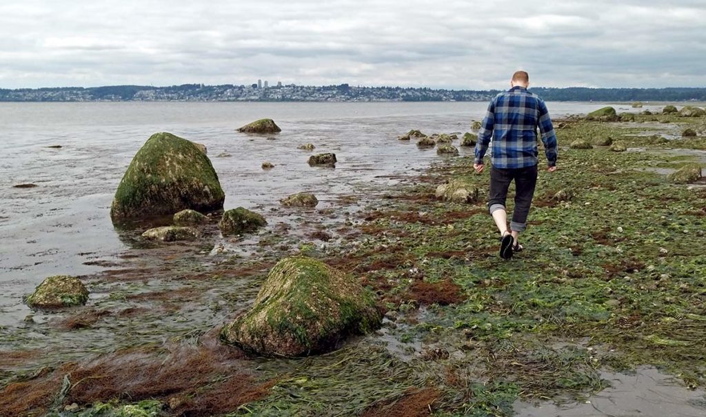 man in blue plaid shirt and rolled up jeans walking across seaweed covered beach at low tide beside seaweed draped boulders with view into Canada and cloudy sky