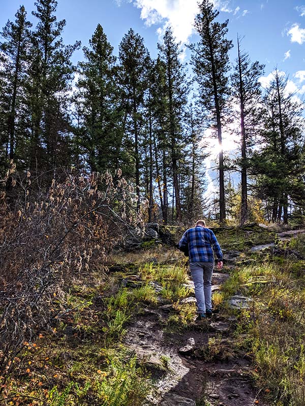 man in blue plaid shirt walks up a steep trail through a grassy and rocky area towards a stand of ponderosa pines